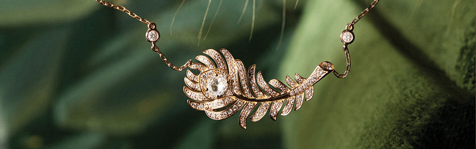 Plume de Paon