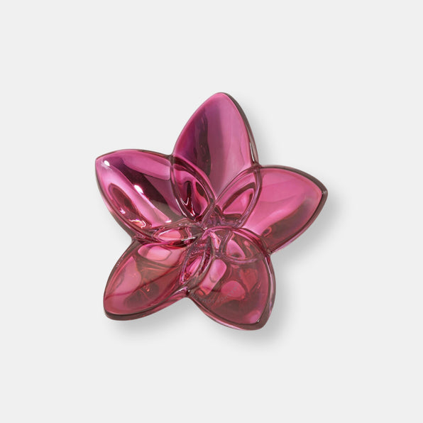 The bloom collection