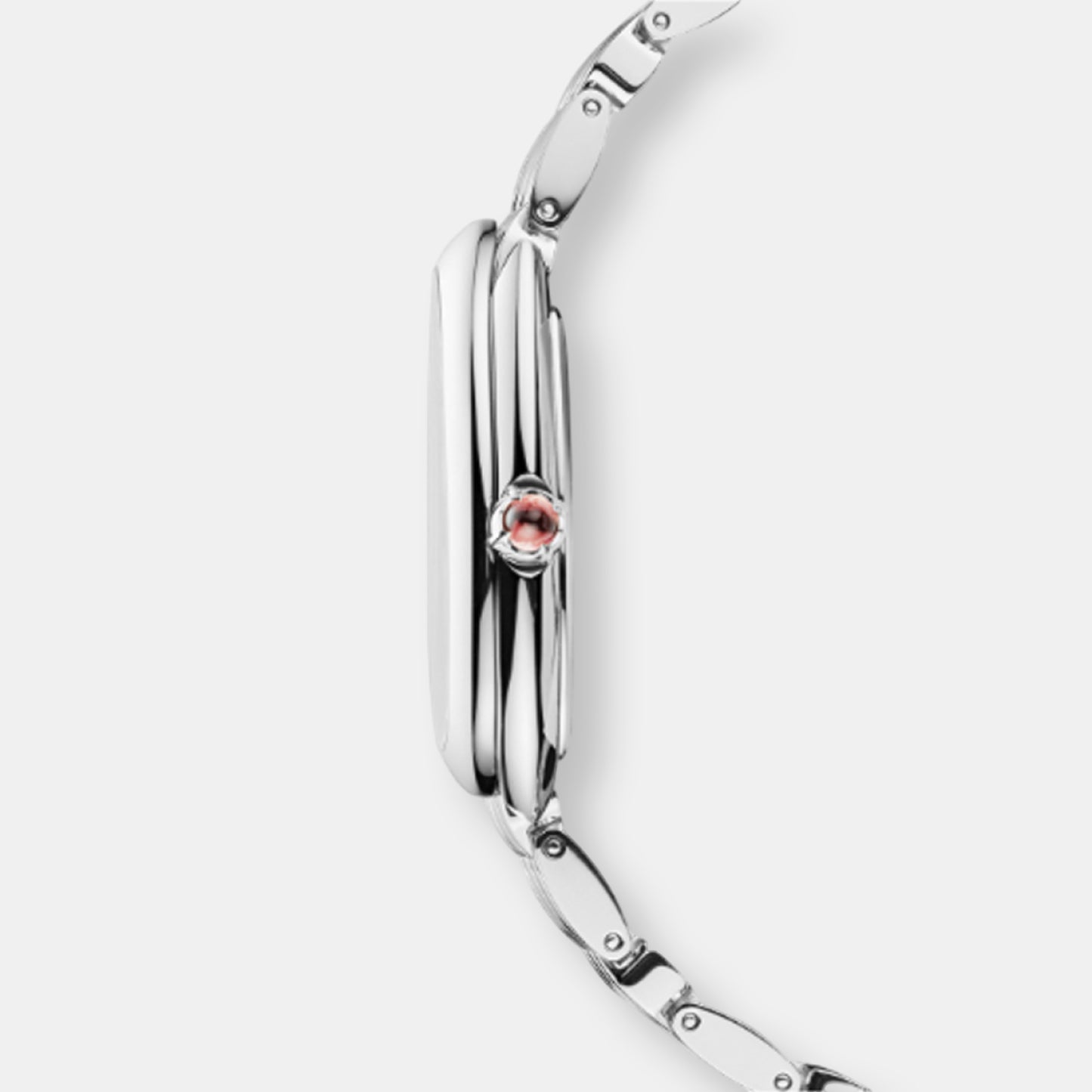 Montre serpenti seduttori
