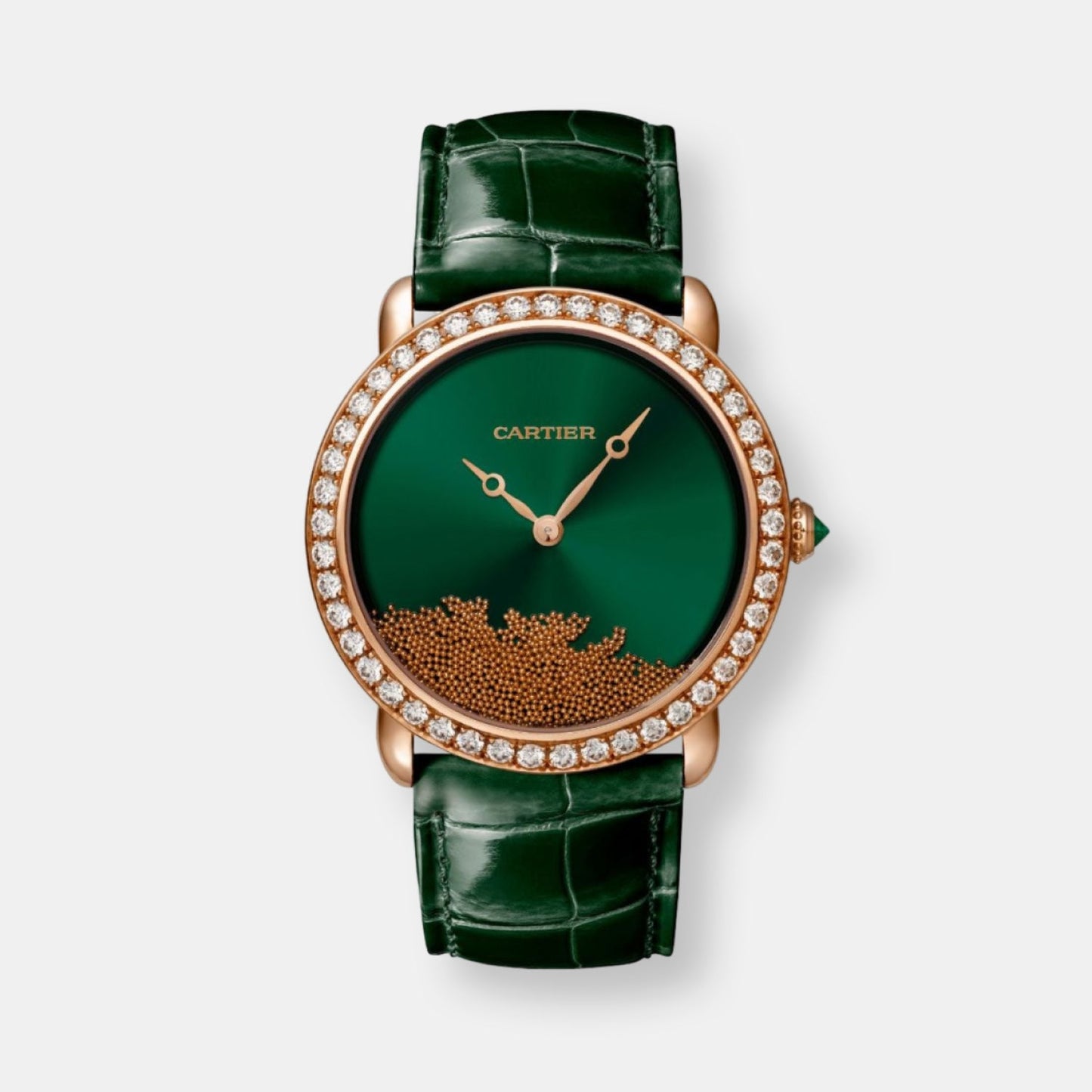 Montre révélation d'une panthère