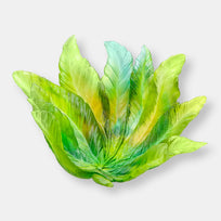 Coupe borneo by emilio robbaedition limitée à 375 exemplaires