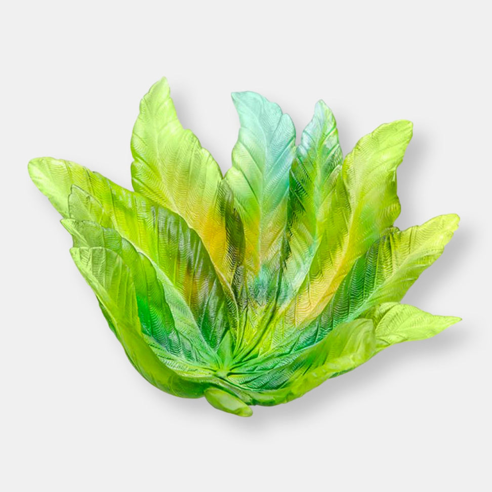 Coupe borneo by emilio robbaedition limitée à 375 exemplaires