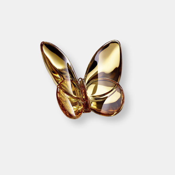 Papillon porte-bonheur