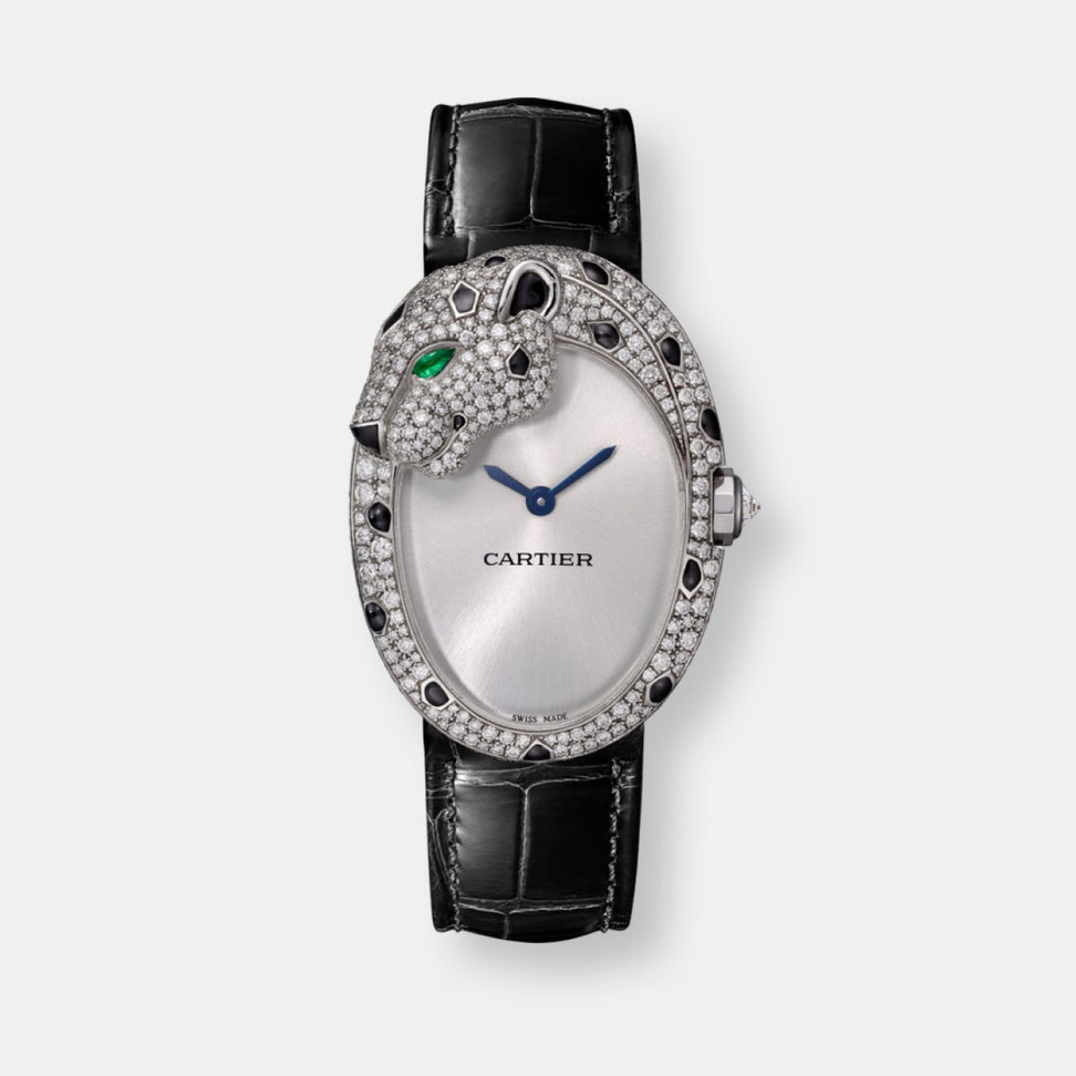 Montre panthère lovée