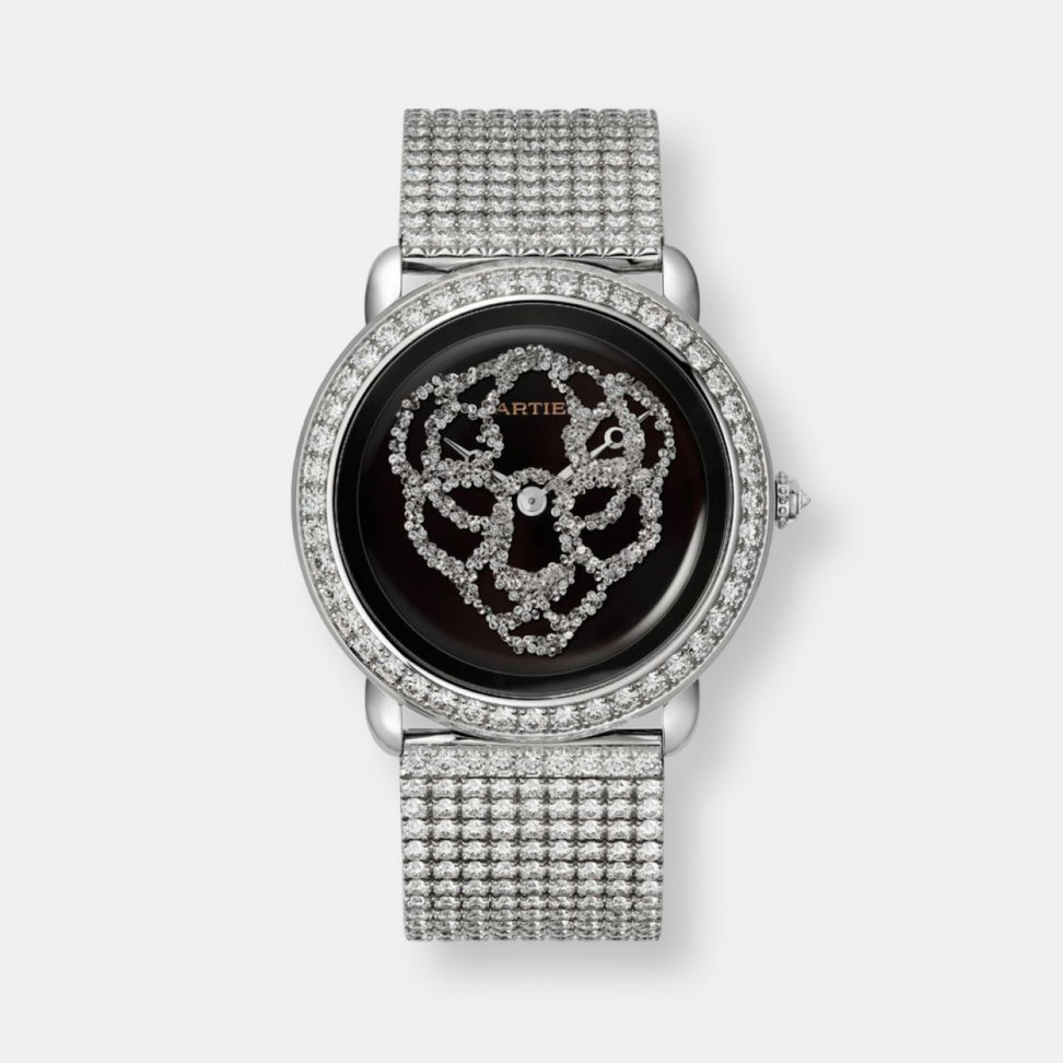 Montre révélation d'une panthère