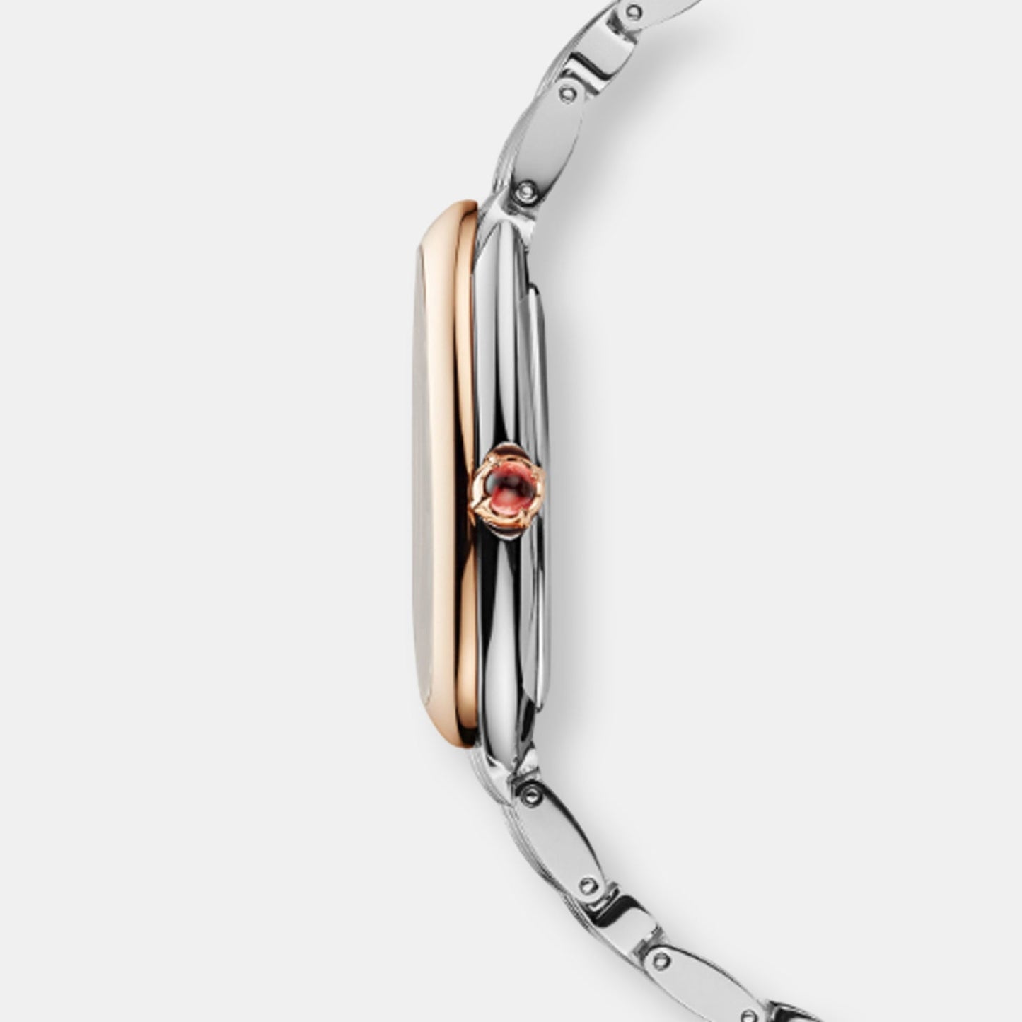 Montre serpenti seduttori