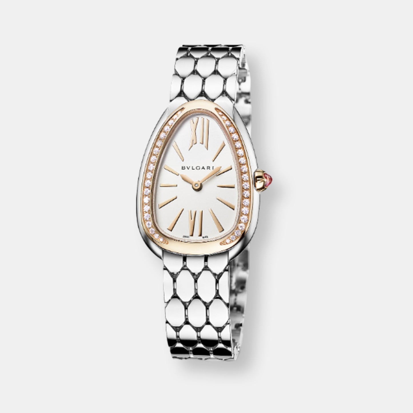 Montre serpenti seduttori