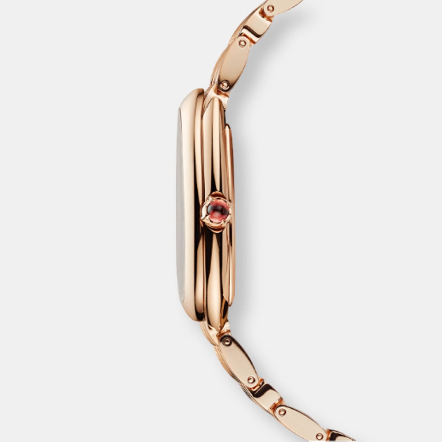 Montre serpenti seduttori