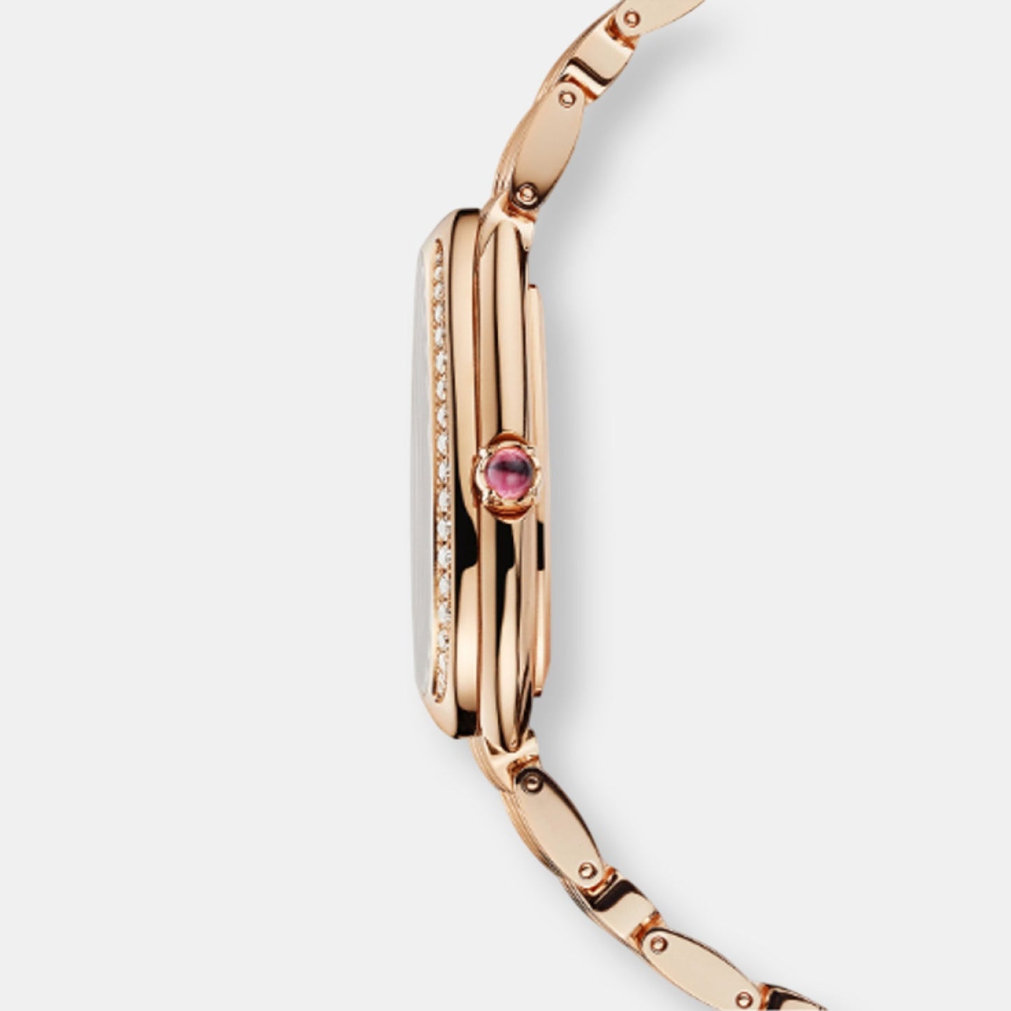 Montre serpenti seduttori