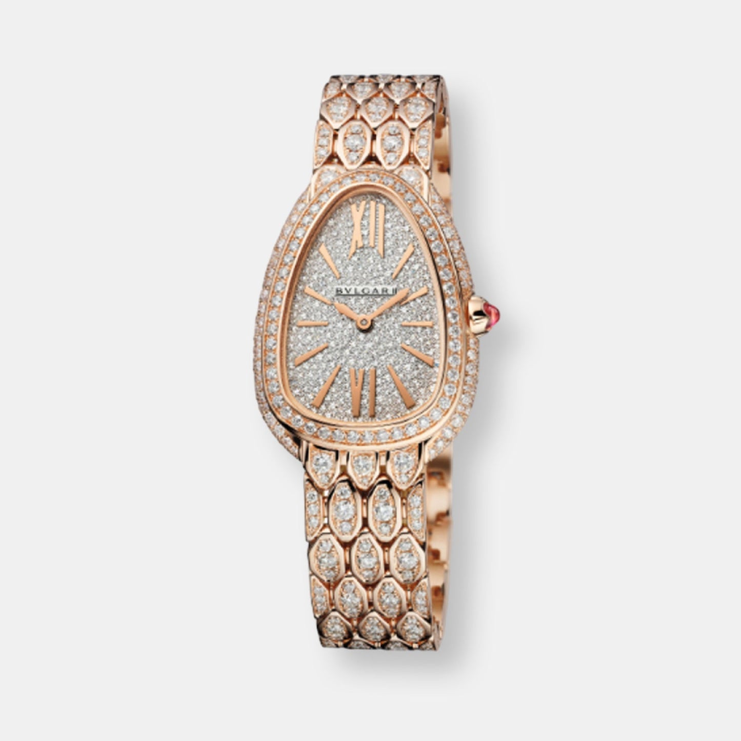 Montre serpenti seduttori