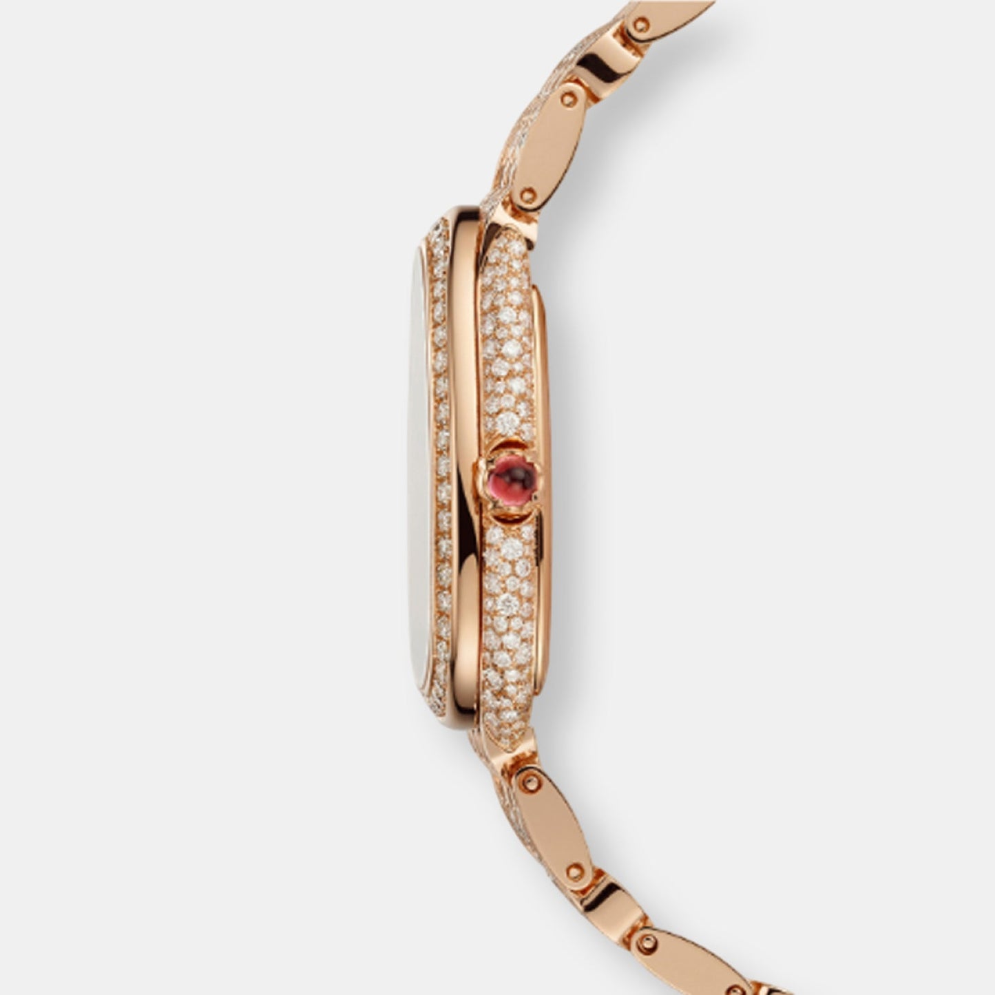 Montre serpenti seduttori