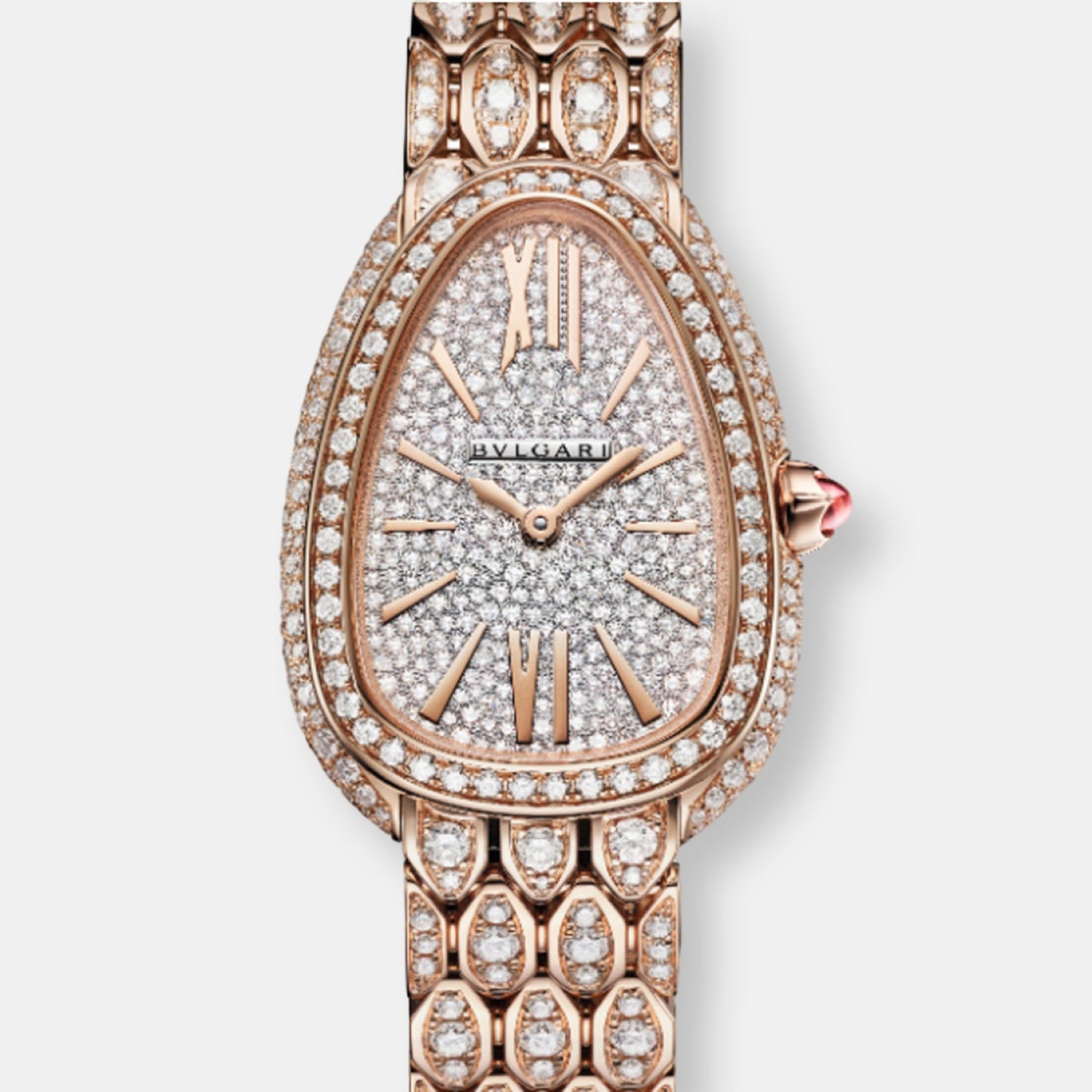 Montre serpenti seduttori