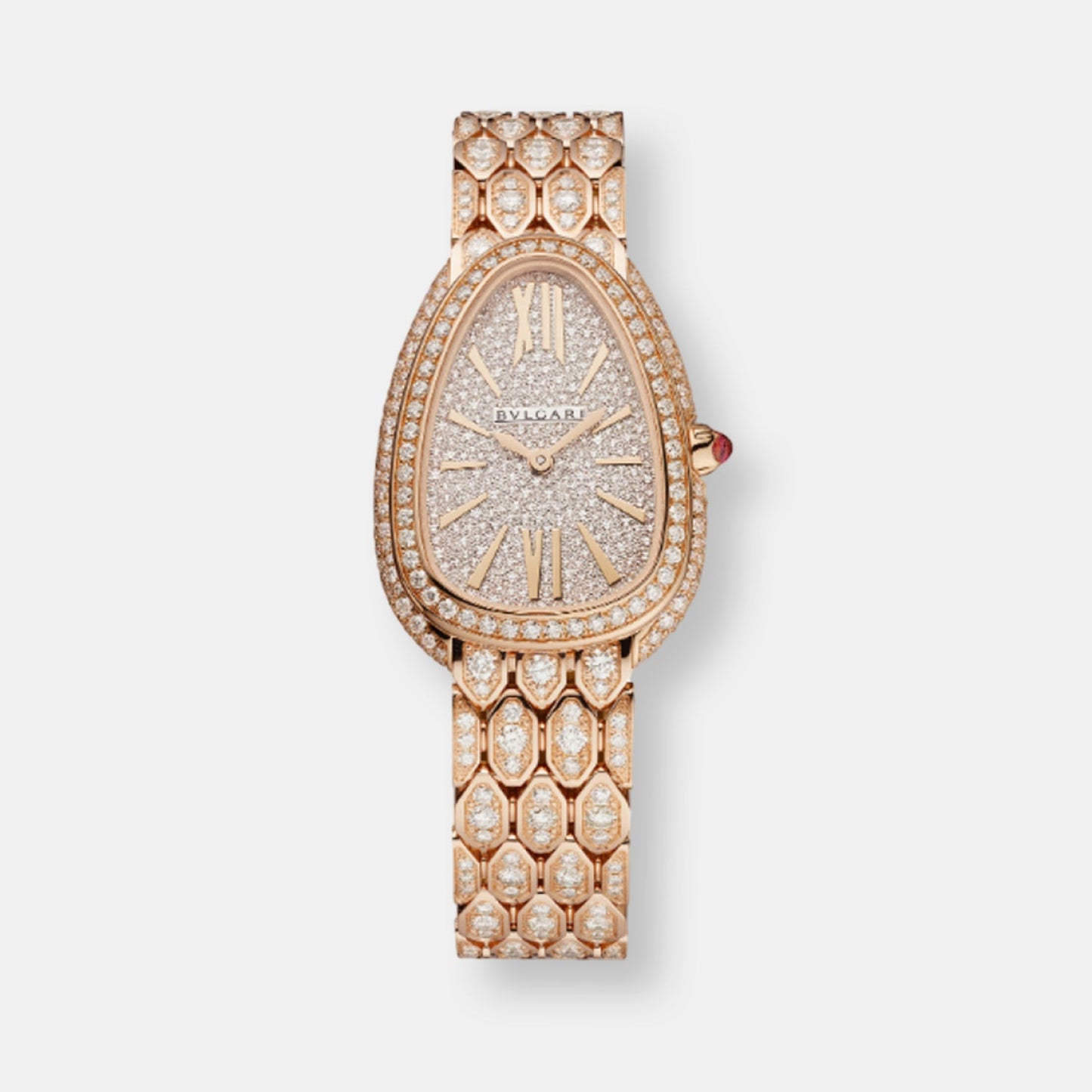 Montre serpenti seduttori