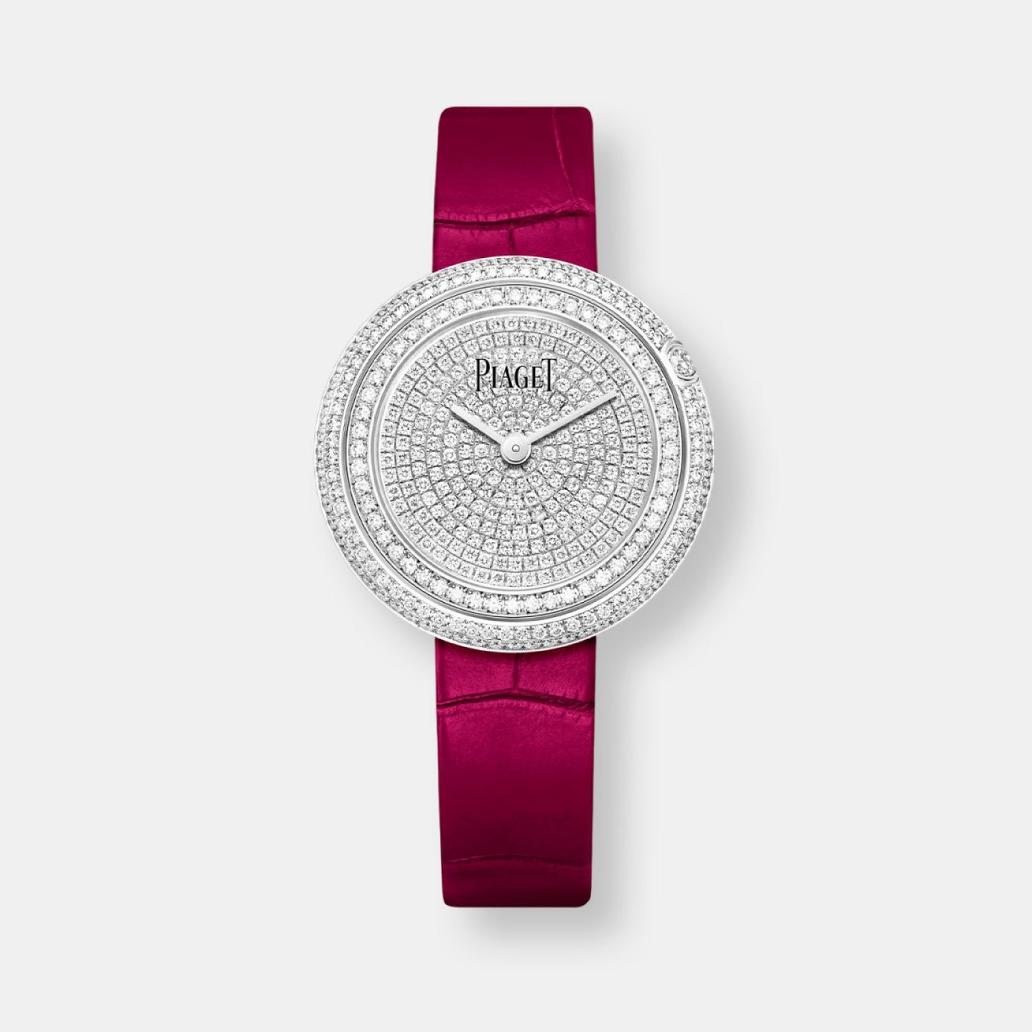 Montre possession