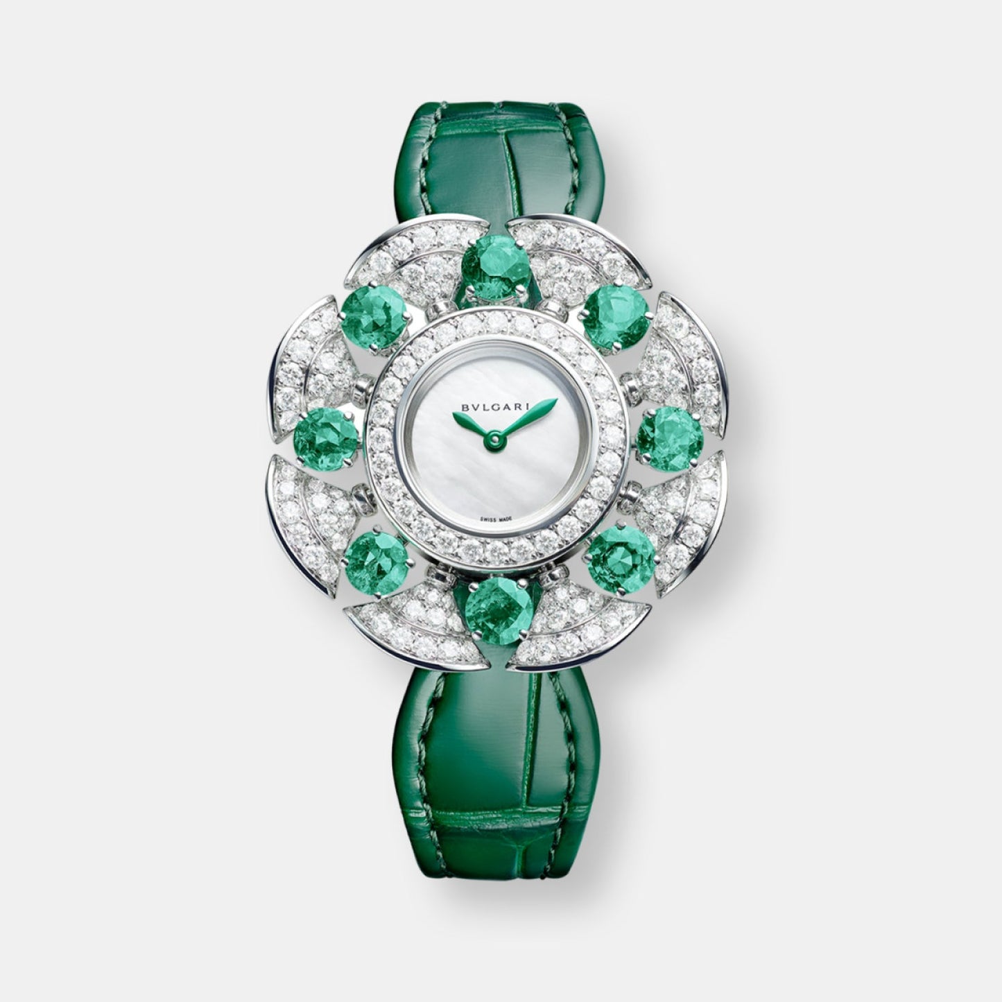 Montre divas' dream