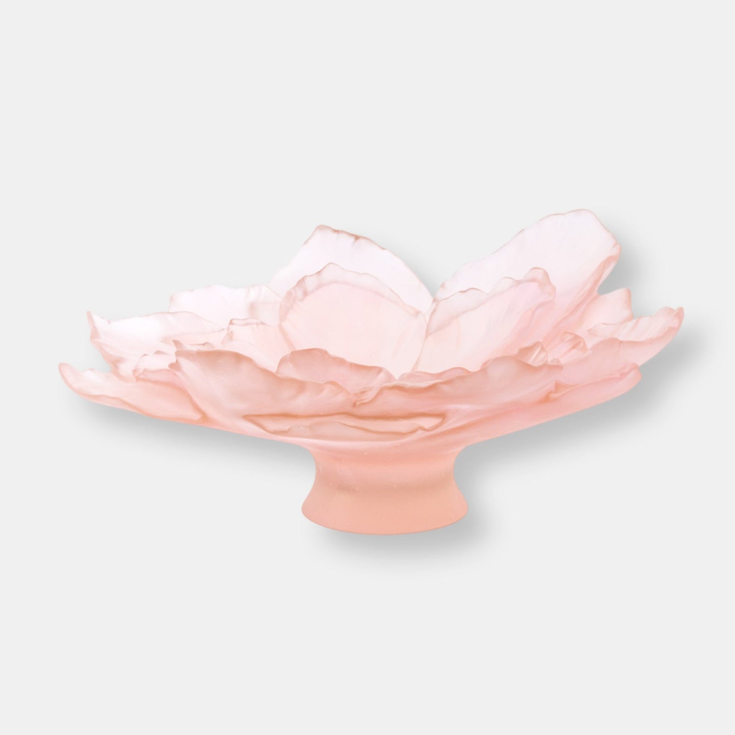 Coupe grand modèle camélia rose