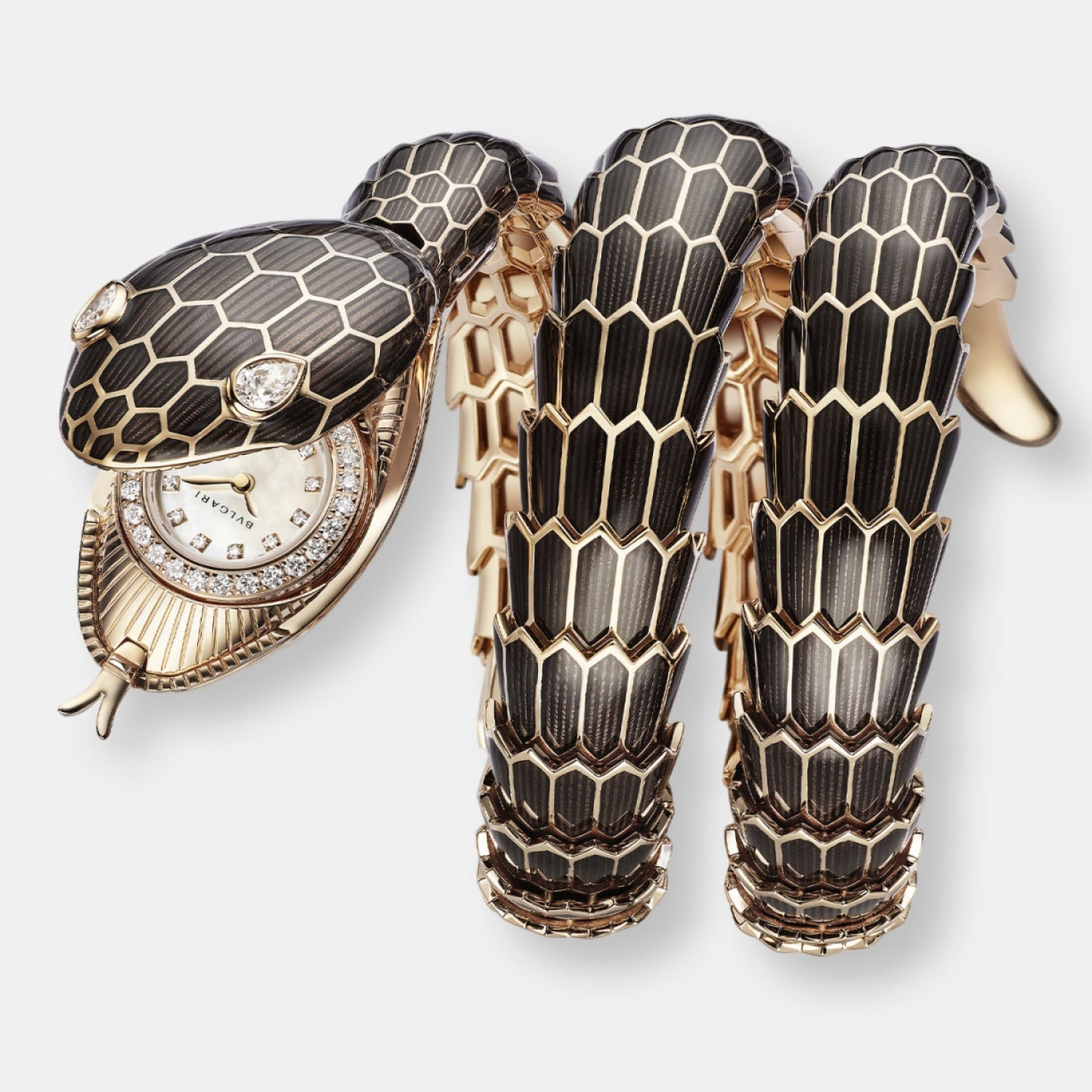 Montre serpenti misteriosi