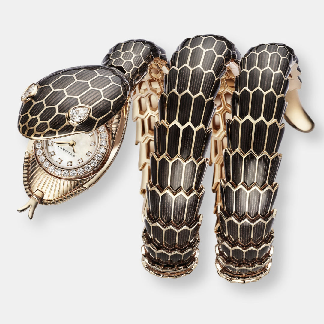 Montre serpenti misteriosi