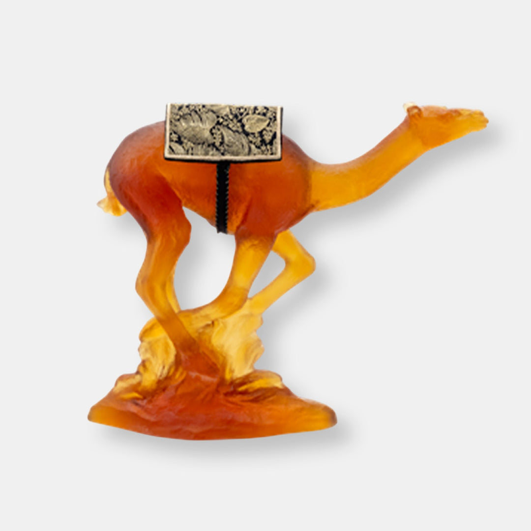 Dromadaire de course