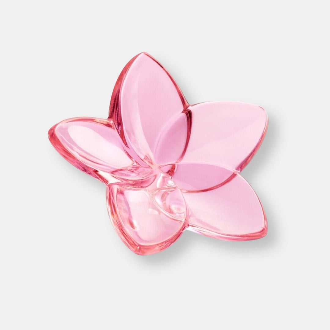 The bloom collection