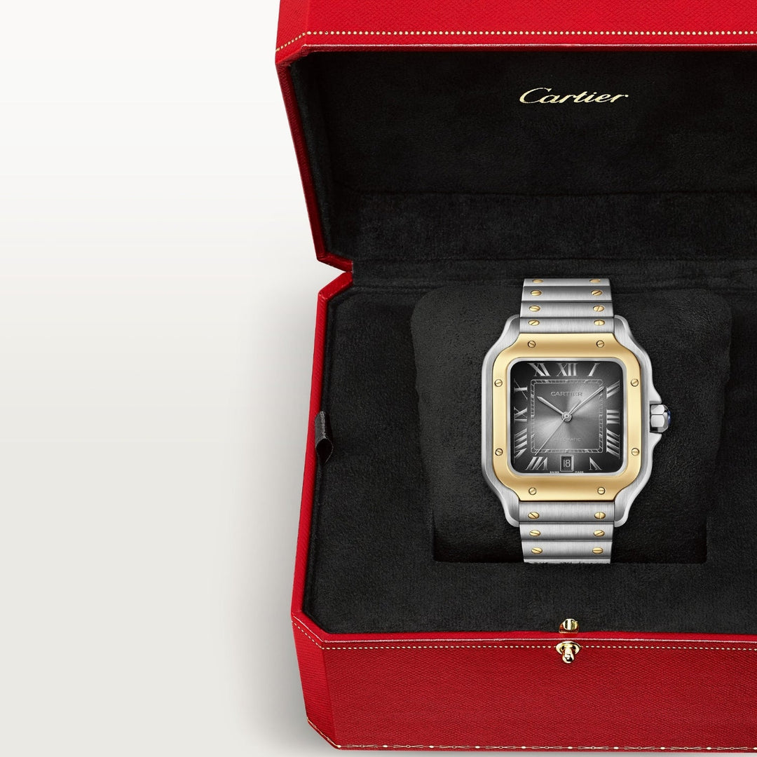 Montre santos de cartier