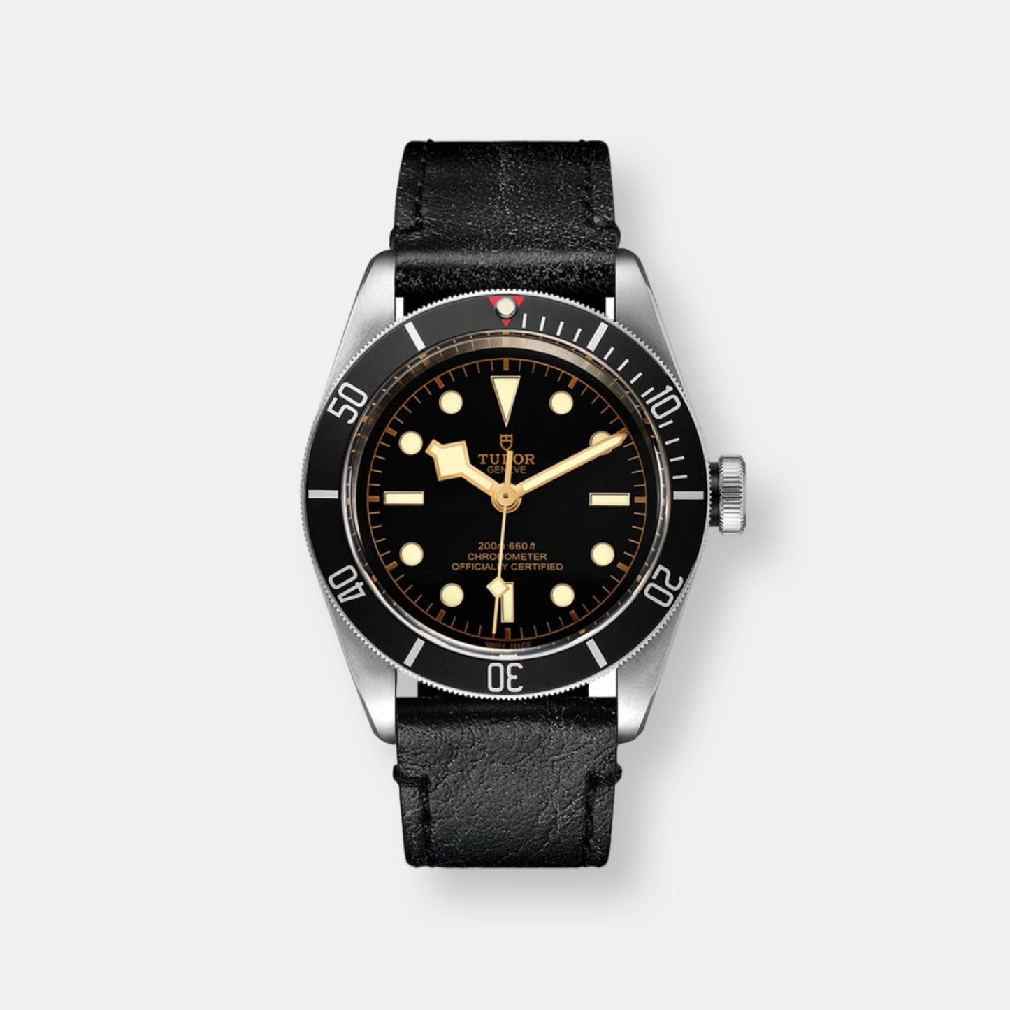 Montre tudor black bay