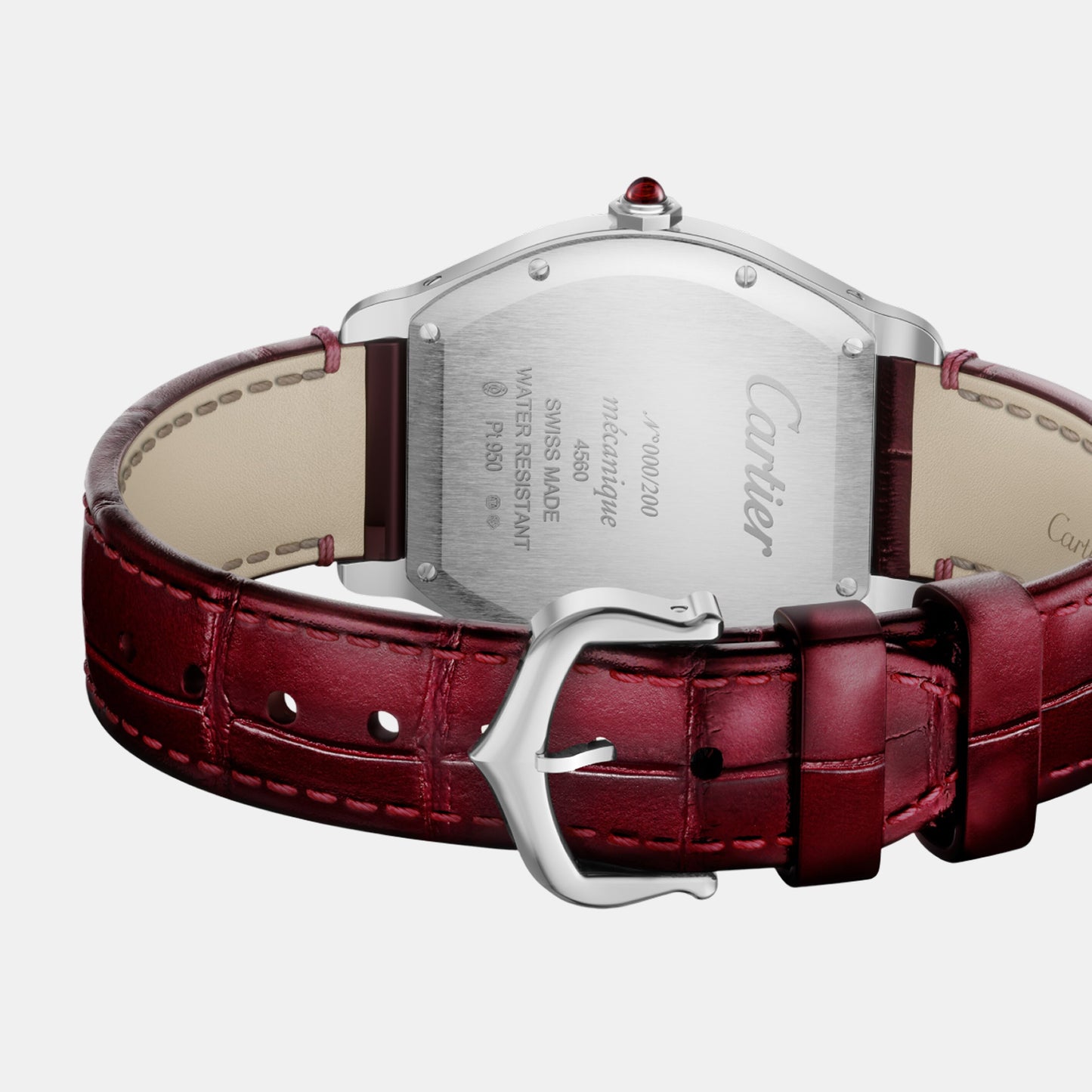 Montre tortue edition limitée à 200 exemplaires