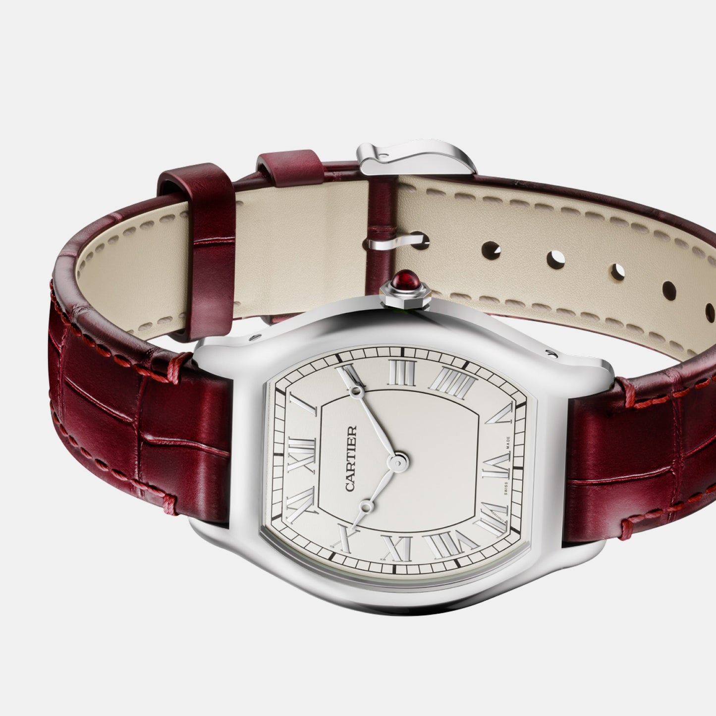 Montre tortue edition limitée à 200 exemplaires