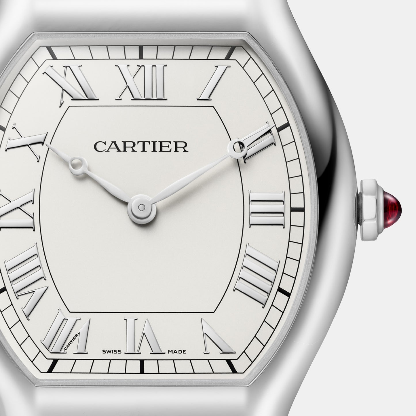 Montre tortue edition limitée à 200 exemplaires