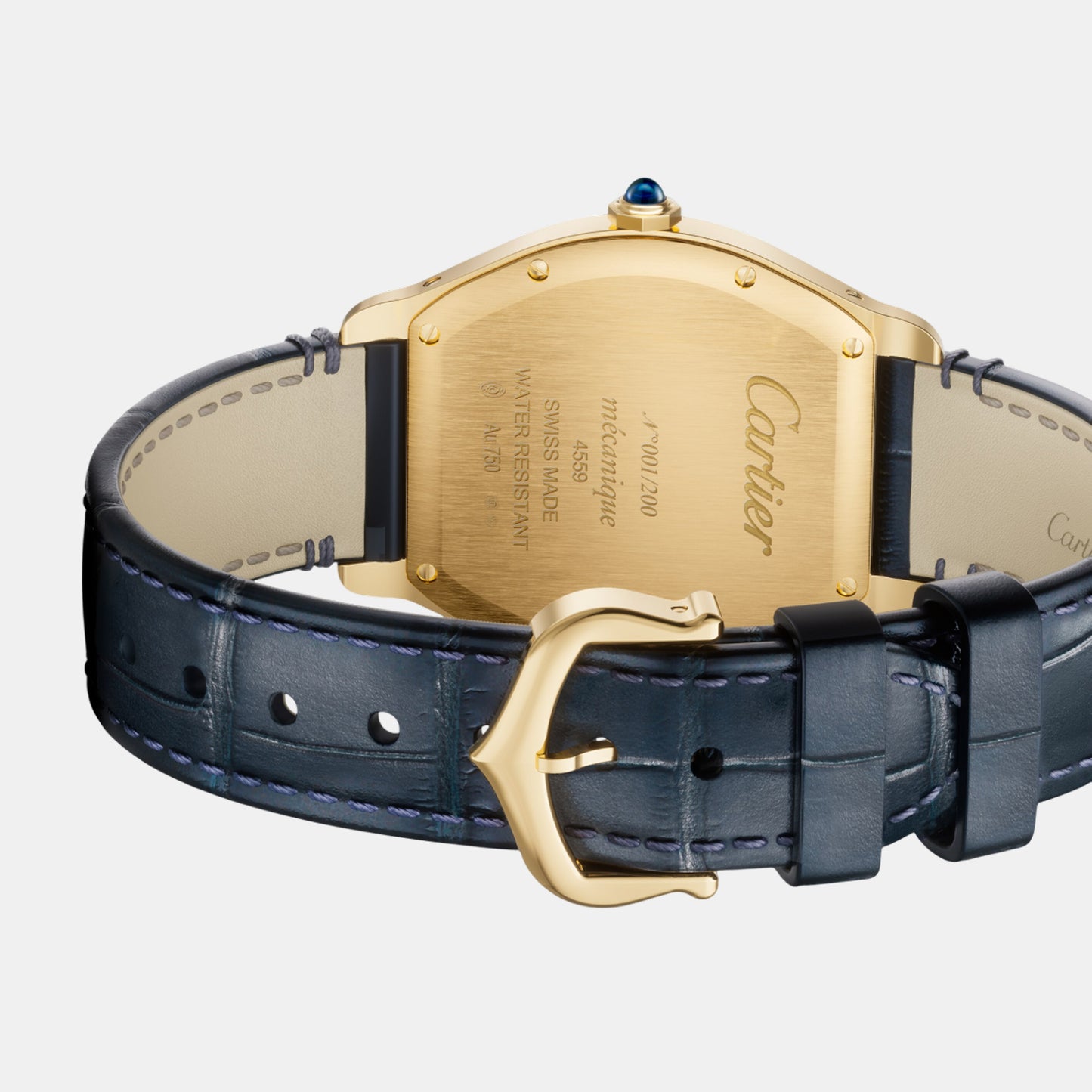 Montre tortue édition limitée à 200 pièces