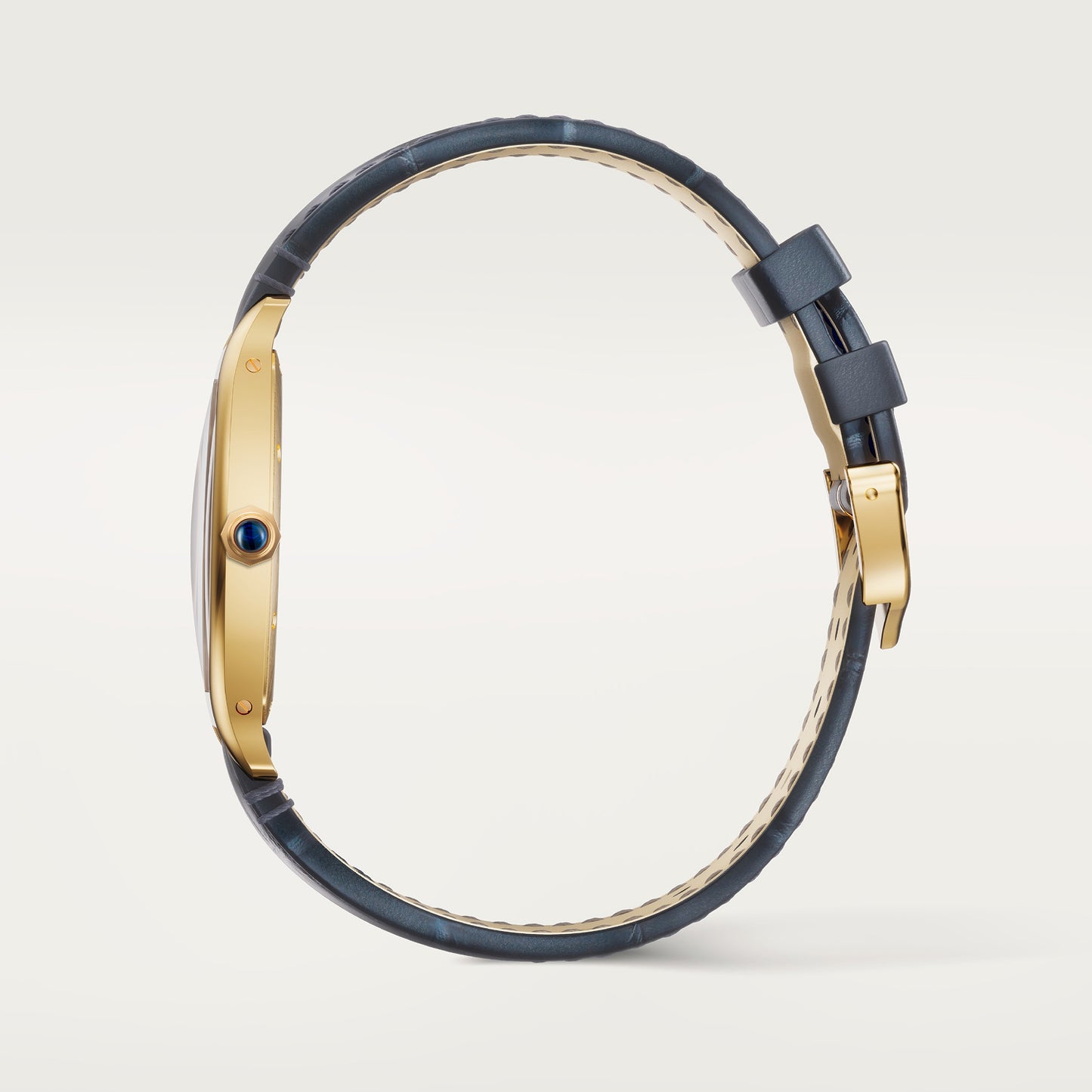 Montre tortue édition limitée à 200 pièces
