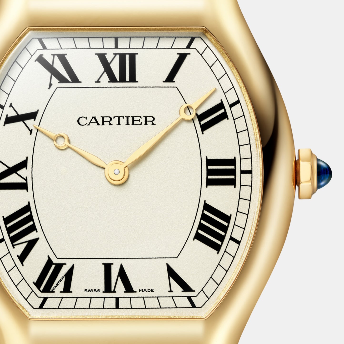 Montre tortue édition limitée à 200 pièces