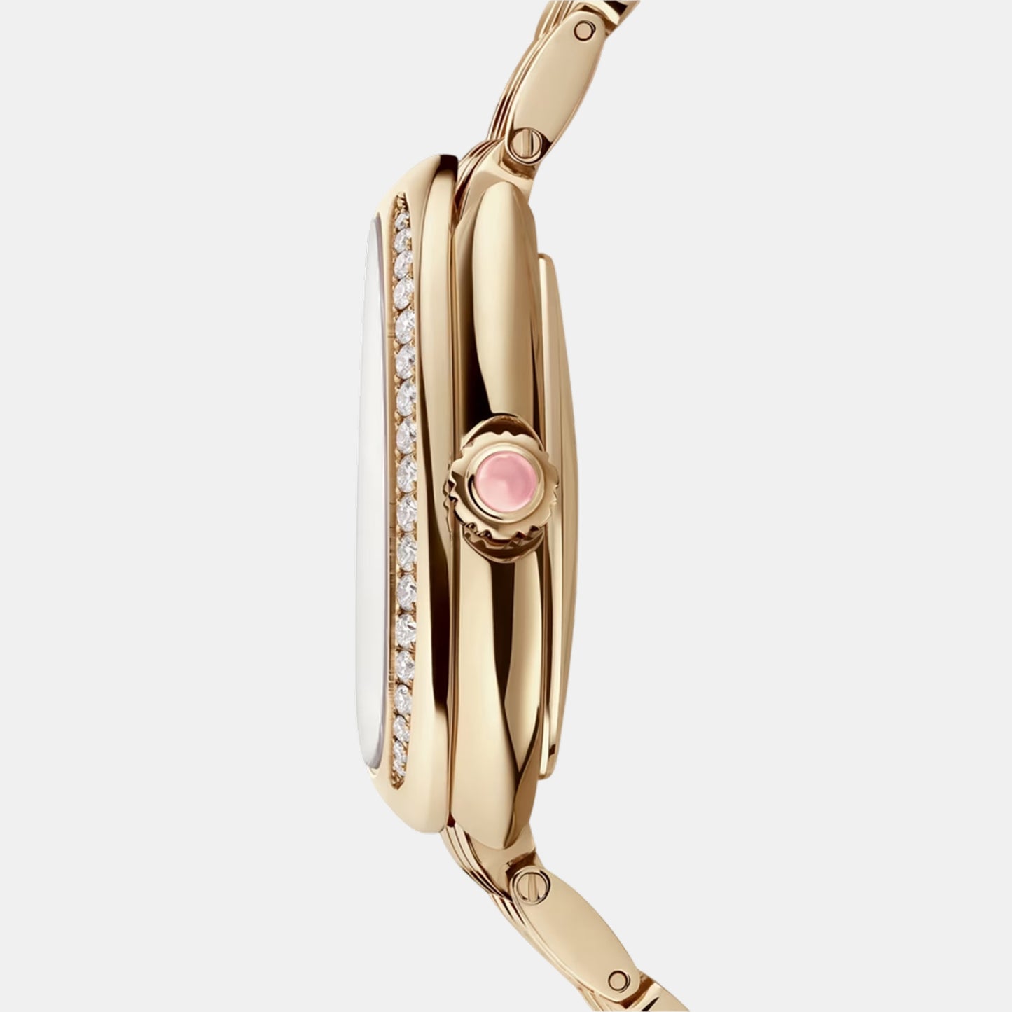 Serpenti seduttori montre