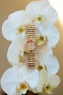 Icone du festival de Cannes : Chopard
