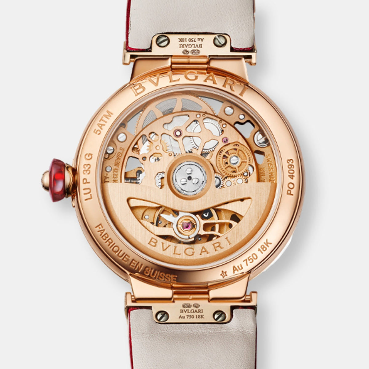 Montre lvcea