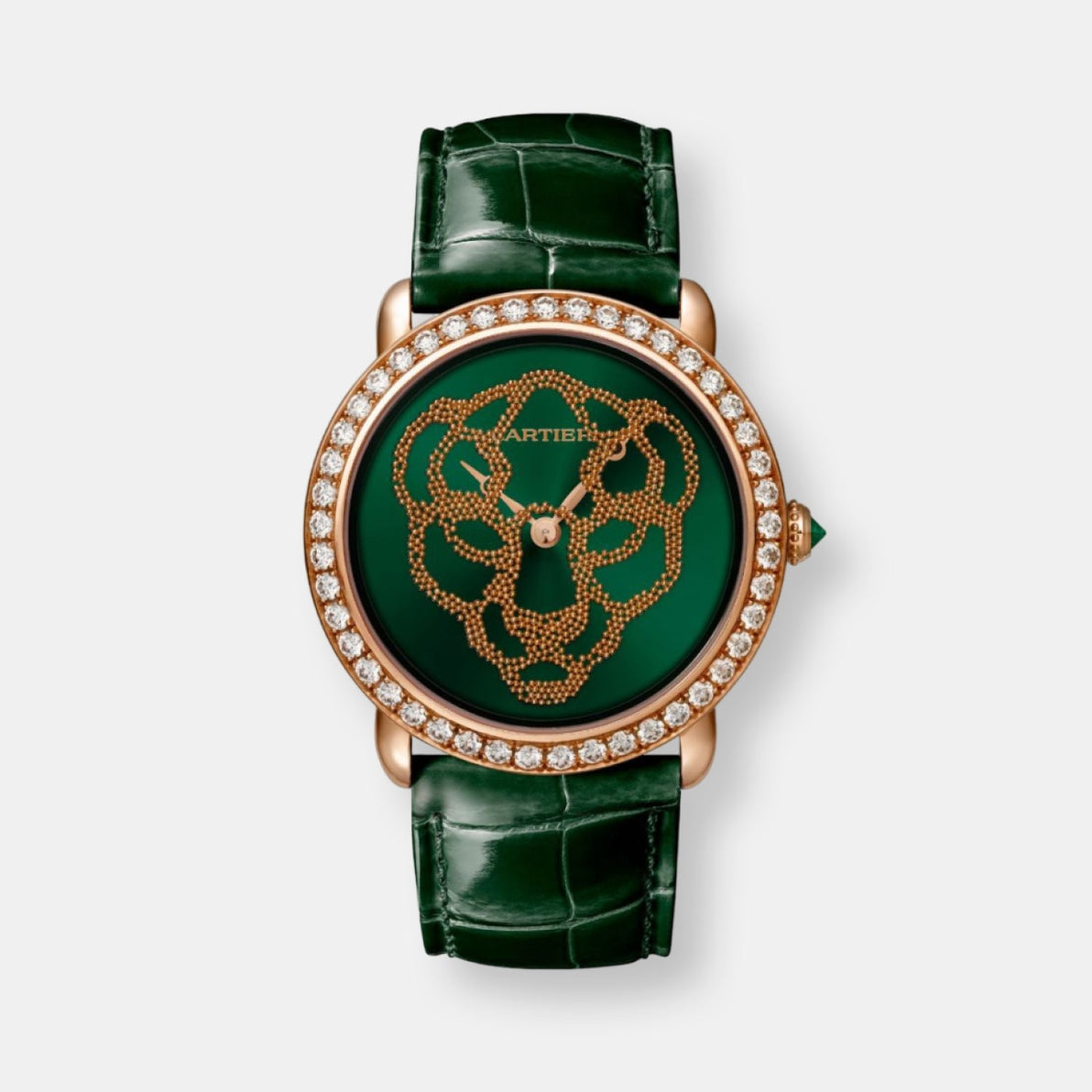 Montre révélation d'une panthère