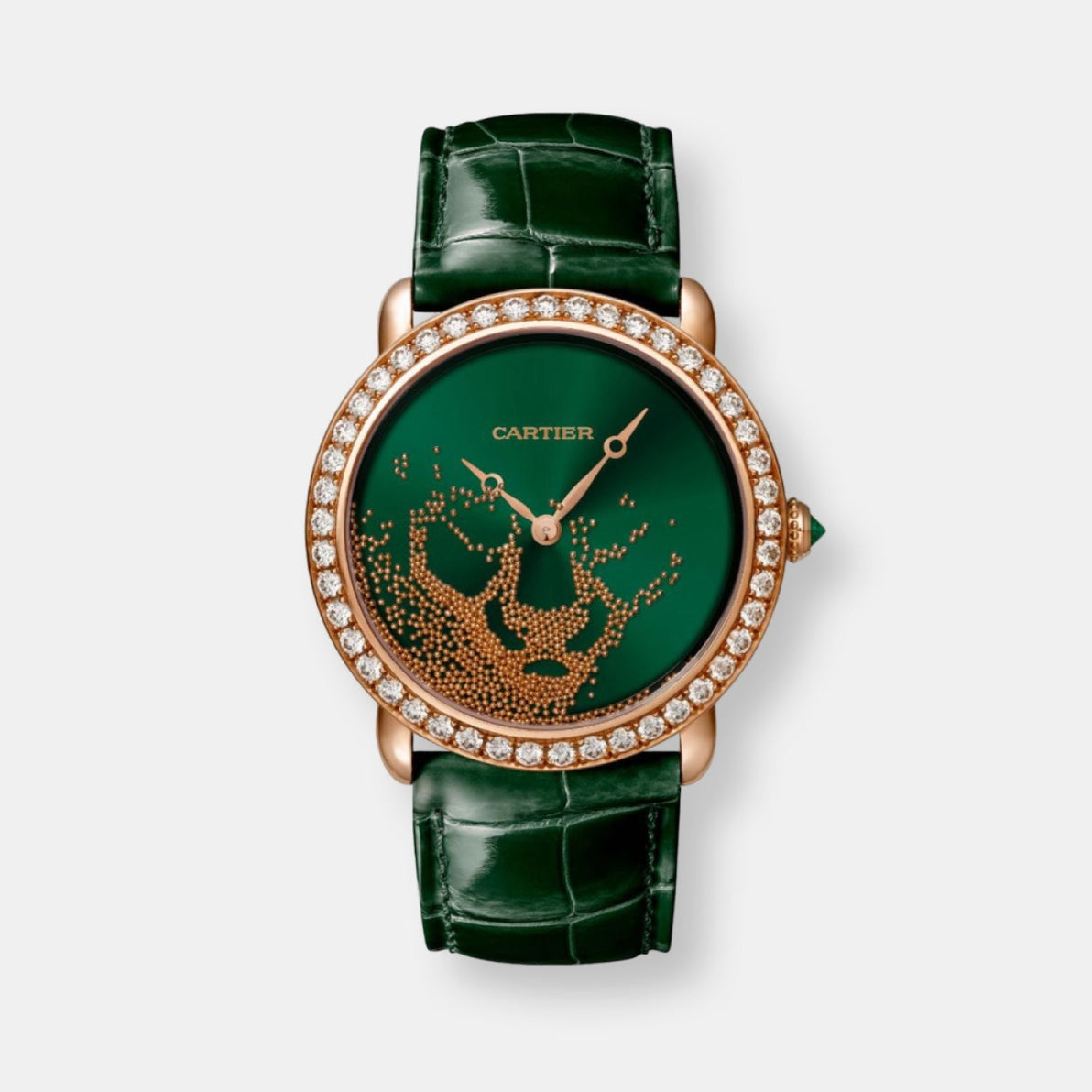 Montre révélation d'une panthère