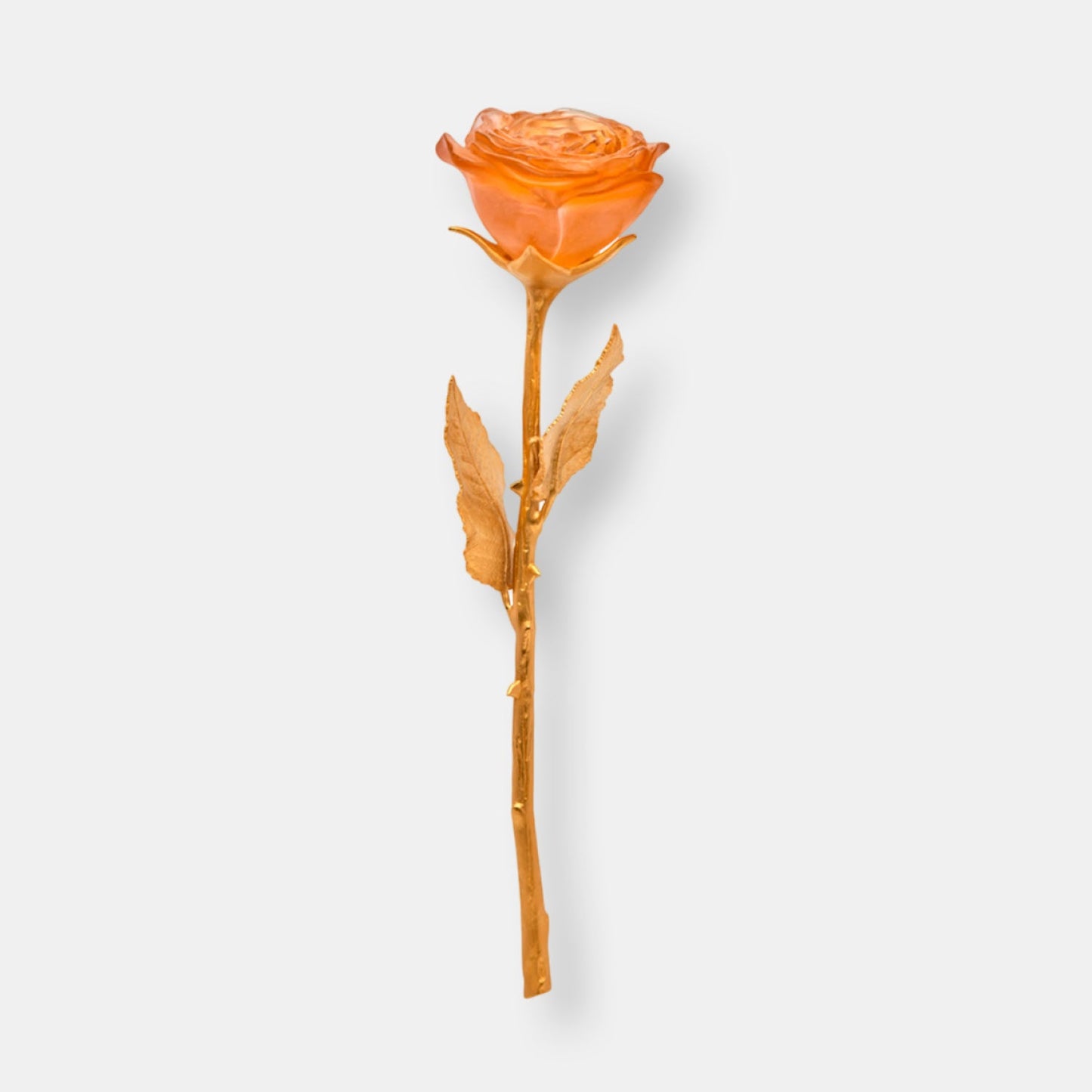 Rose eternelle rose poudré