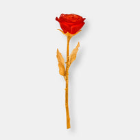 Rose eternelle rouge