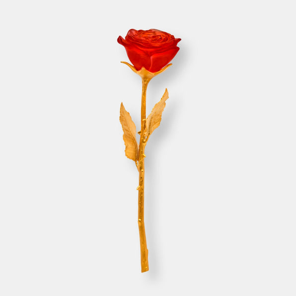 Rose eternelle rouge