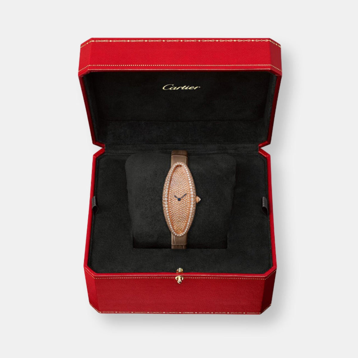 Montre baignoire allongée