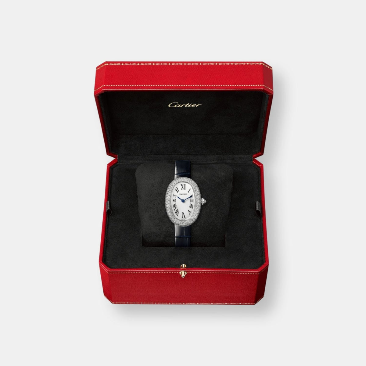Montre baignoire