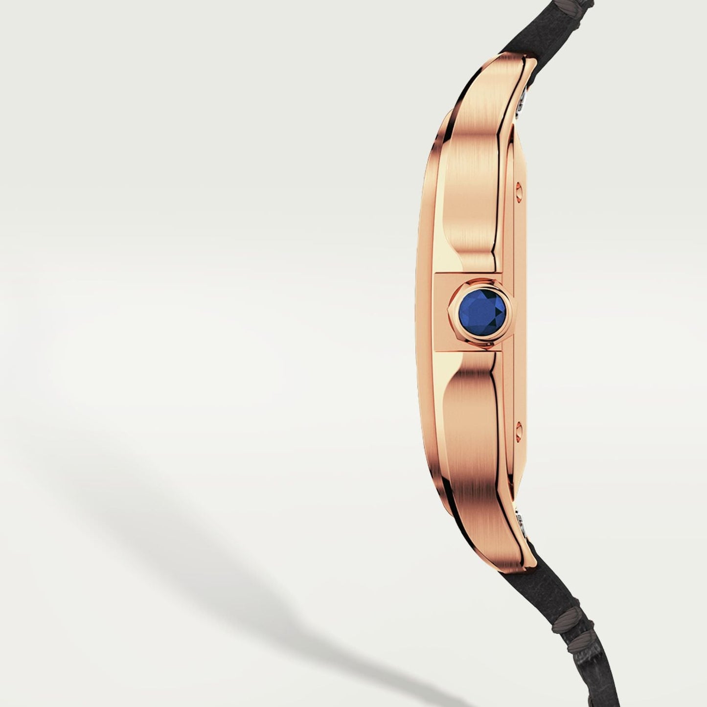 Montre santos de cartier