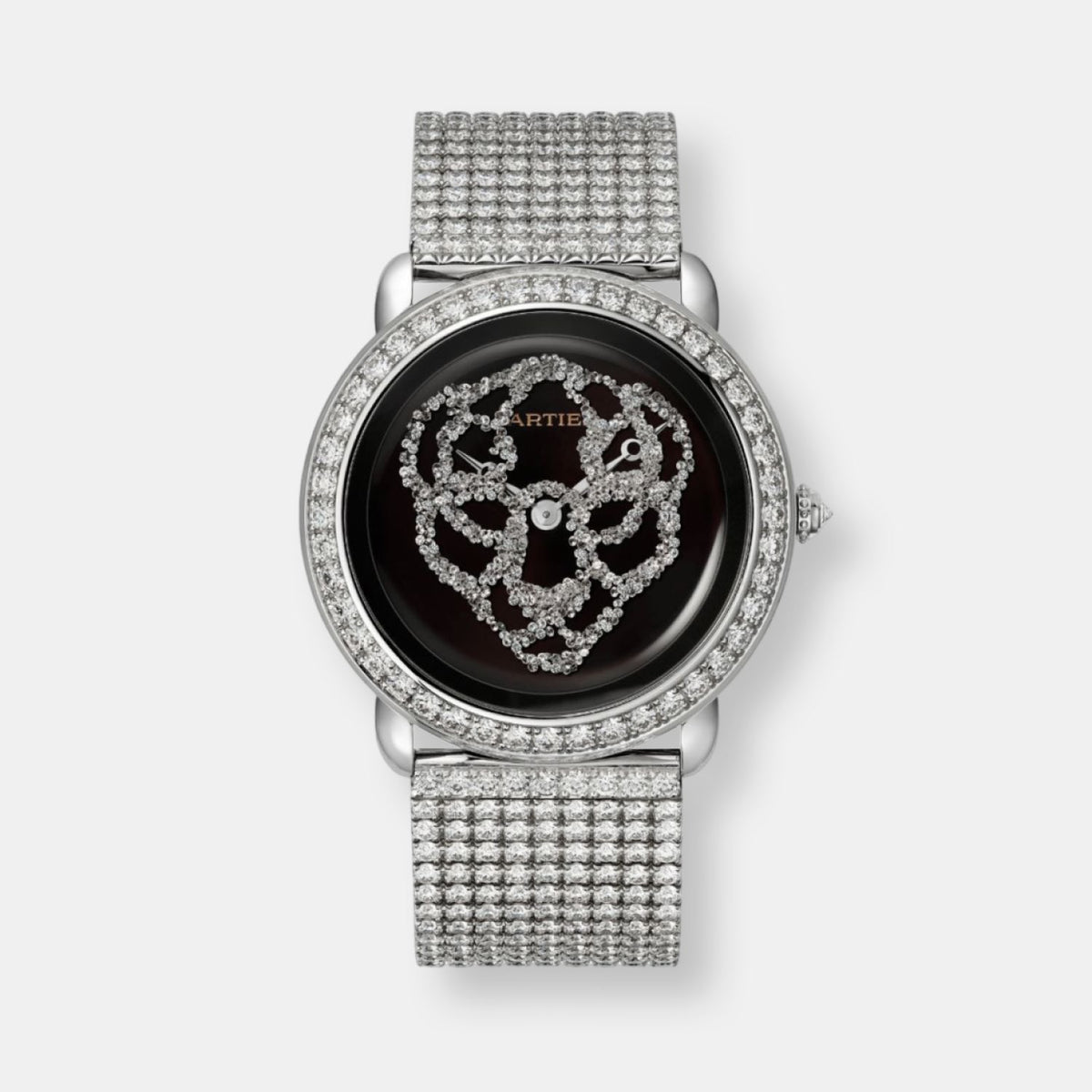 Montre révélation d'une panthère