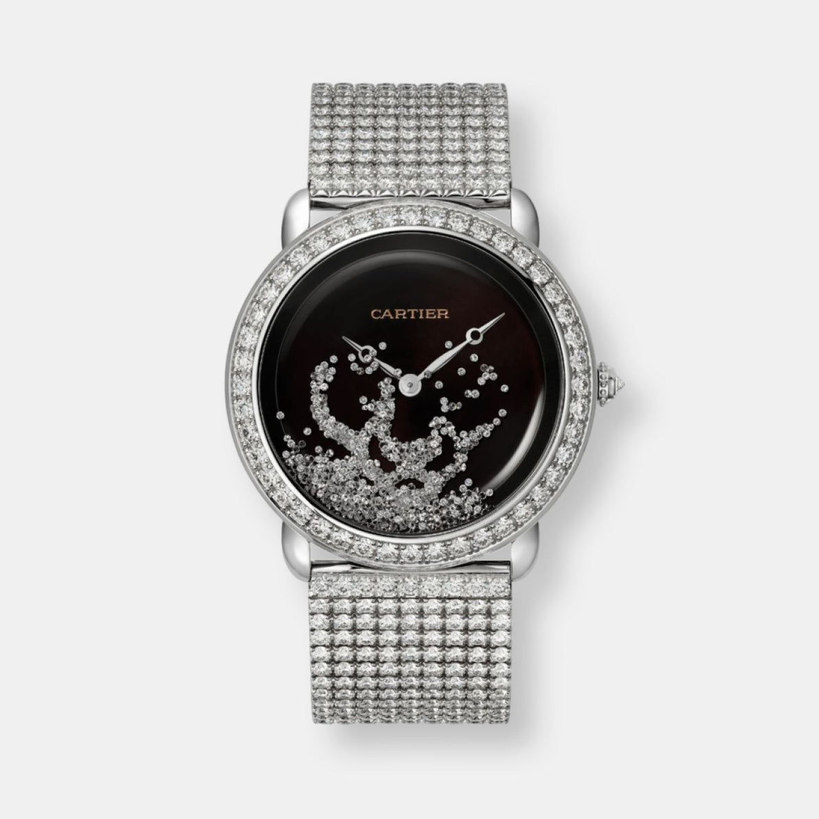 Montre révélation d'une panthère