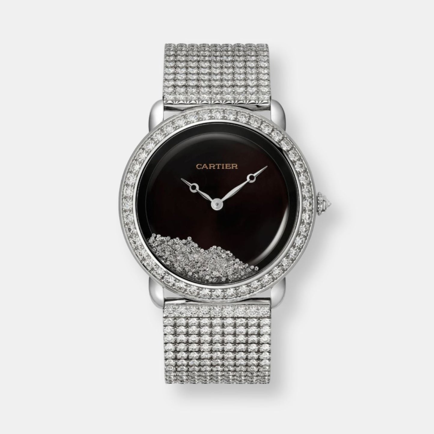 Montre révélation d'une panthère