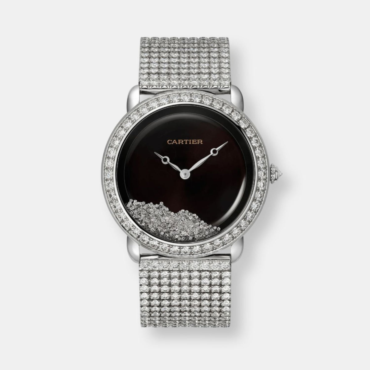 Montre révélation d'une panthère