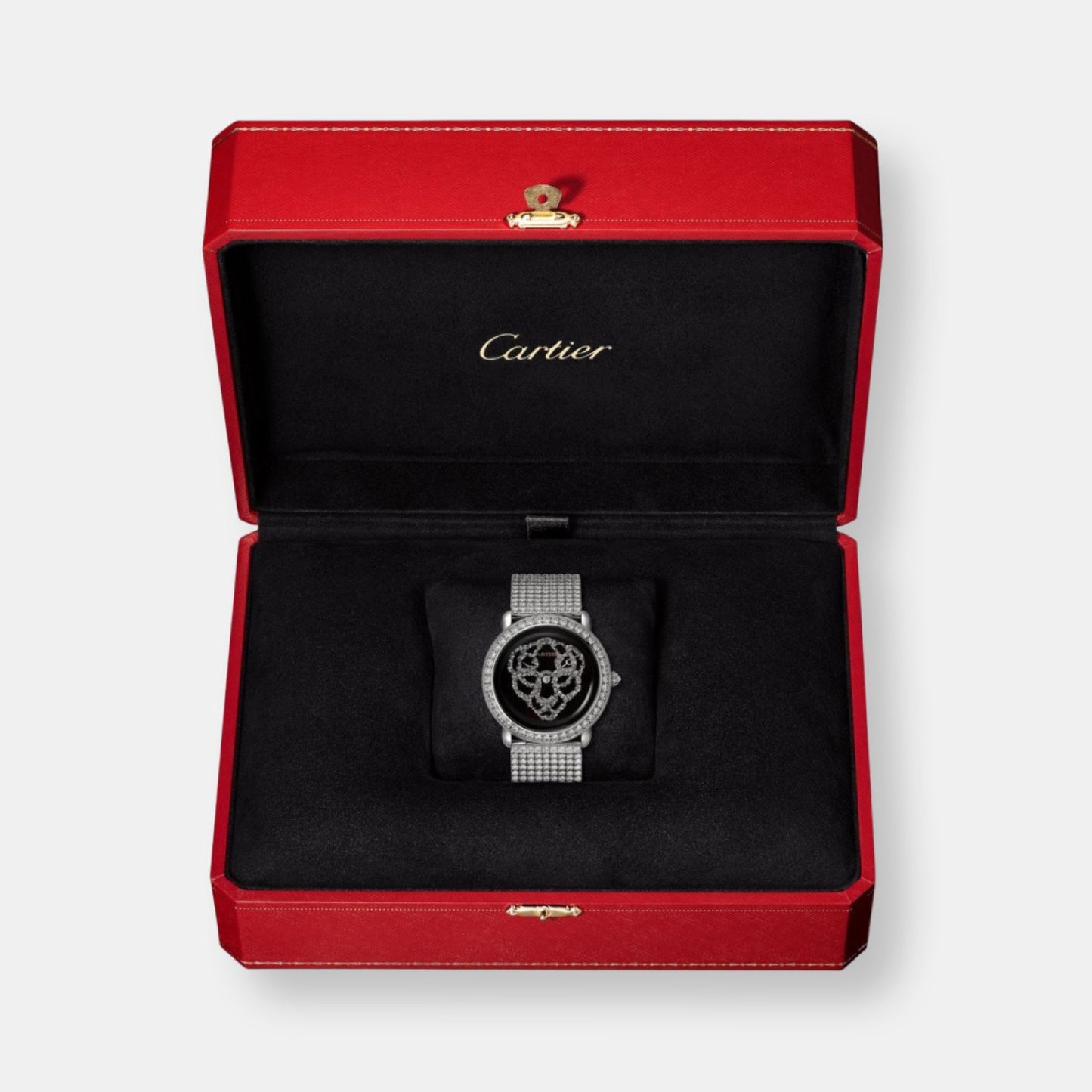 Montre révélation d'une panthère