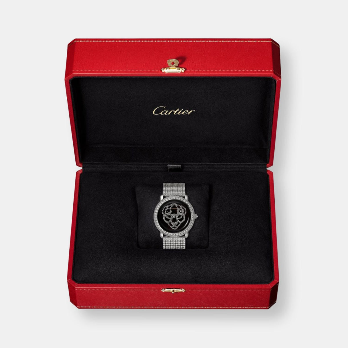 Montre révélation d'une panthère