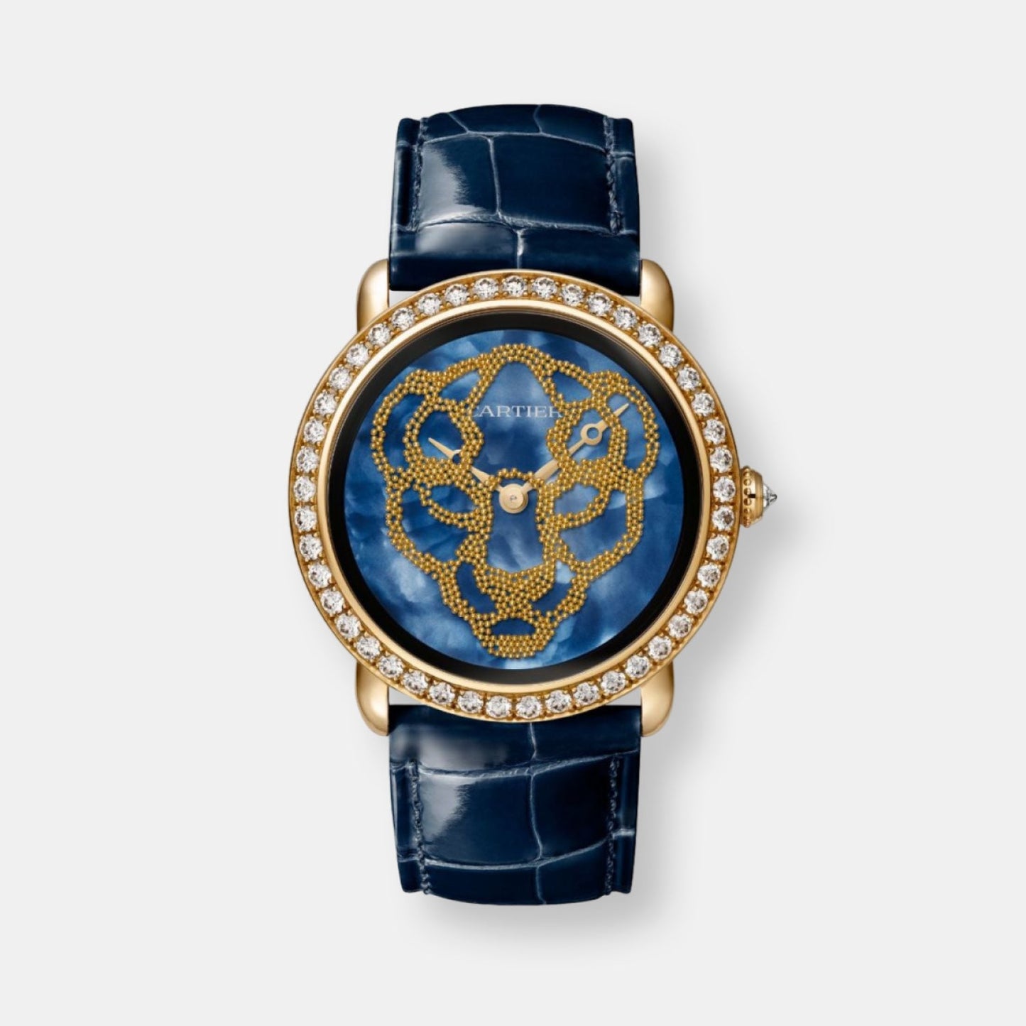 Montre révélation d'une panthère